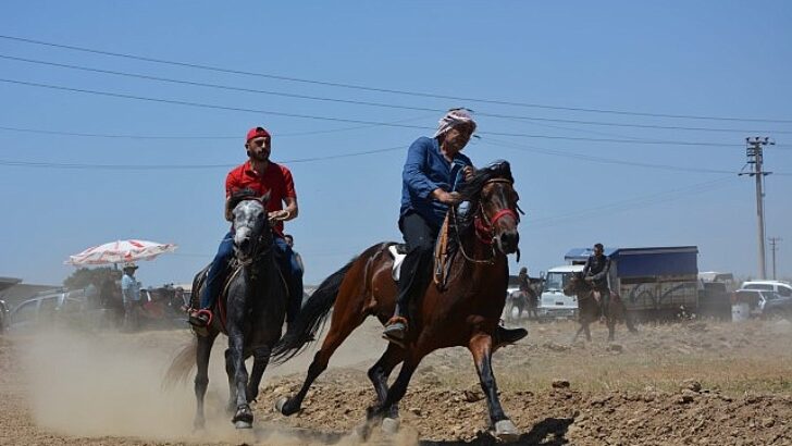 Torbalı’da rahvan at yarışı heyecanı yaşanacak