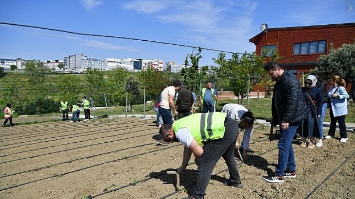 Yaşam Bahçesi yaza hazır