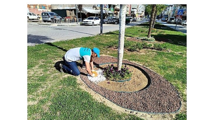 Yeşil Alanlara Estetik Dokunuş