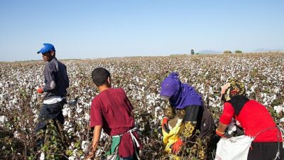 12 Haziran Dünya Çocuk Personelliği ile Çaba Günü: Türkiye’de mevsimlik tarımın yükü çocukların omzunda