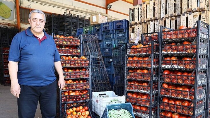 Alanya Toptancı Hali’nde sona yaklaşıldı