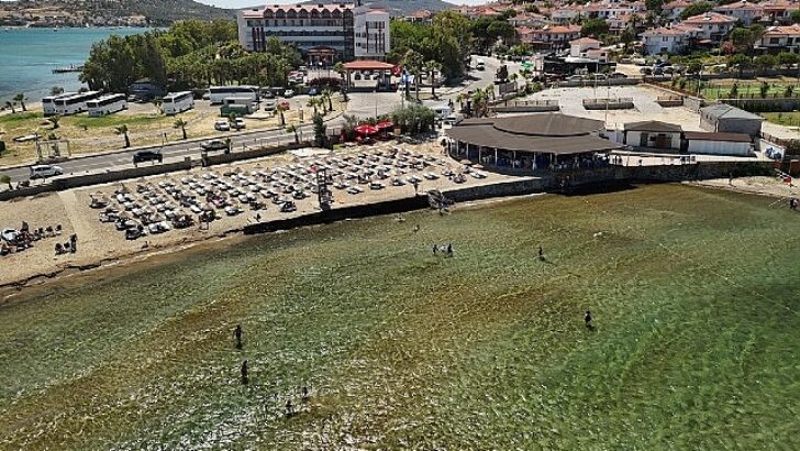 Ayvalık Belediyesi plajlarında göndere “Mavi Bayrak” çekildi…