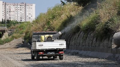 Bakırköy Belediyesi ve İBB işbirliğiyle vektörle uğraş
