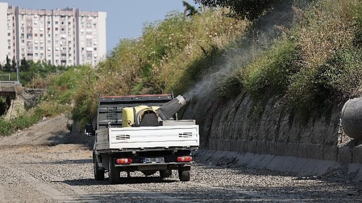 Bakırköy Belediyesi ve İBB işbirliğiyle vektörle uğraş