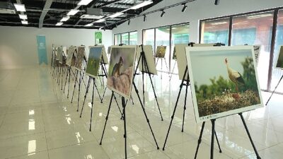Bu fotoğraf standı Ormanya’da görsel şölen sunuyor