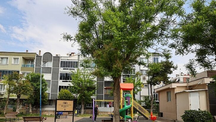 Buca Belediyesi bayana şiddete karşı gayret veren avukatlara dayanak verdi