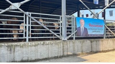 Büyükşehir’in çağdaş mezbahasında kurbanlar kesiliyor