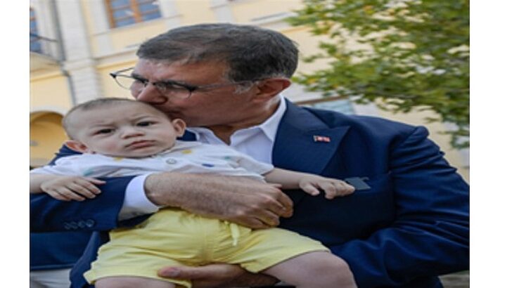 Devrilen çınar ağacı yerine yenisi dikildi