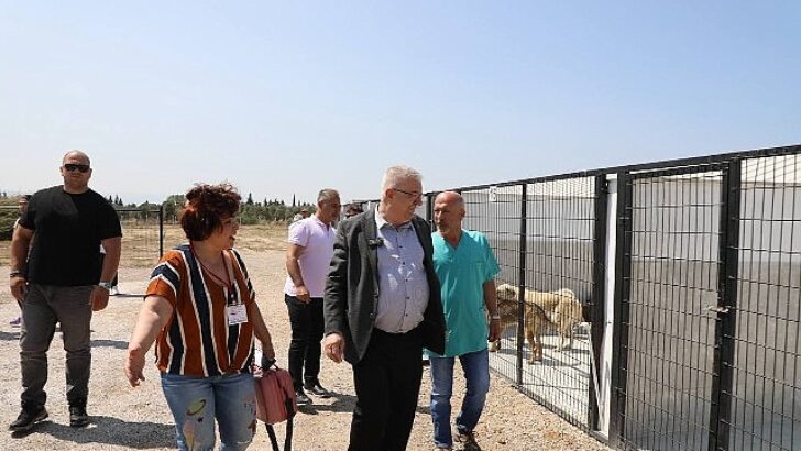 Edremit Belediyesi can dostlara sahip çıkıyor