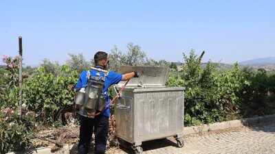 Efes Selçuk’ta Halk Sıhhati İçin Kapsamlı İlaçlama Seferberliği