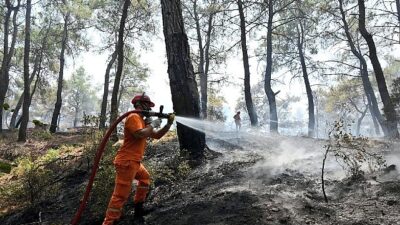 Hasat Mevsiminde Orman Yangını Alarmı