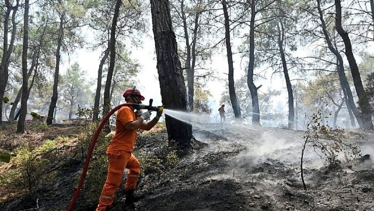 Hasat Mevsiminde Orman Yangını Alarmı