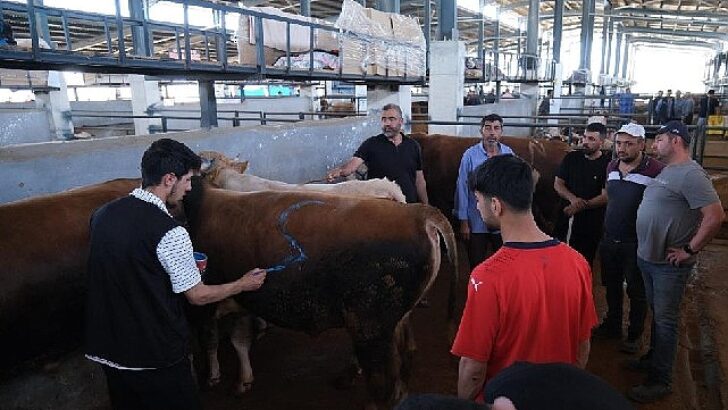 İnegöl Çağdaş Hayvan Pazarı Beşinci Kere Bayram Sevinci Yaşattı