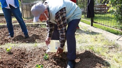 İstanbullu Halk Bostanlarını Çok Sevdi