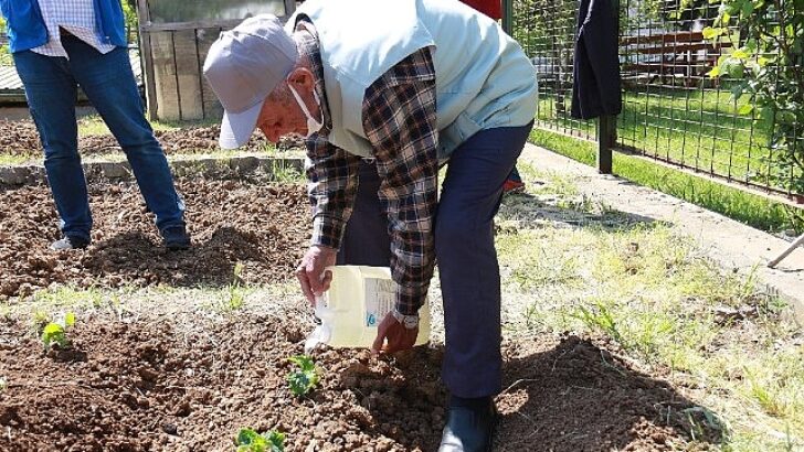 İstanbullu Halk Bostanlarını Çok Sevdi