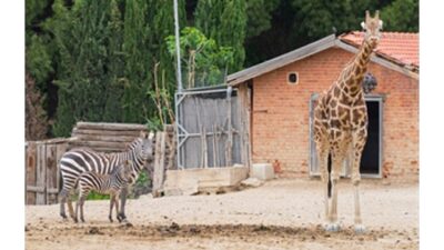 İzmir Doğal Ömür Parkı bayramda ziyaretçileri bekliyor