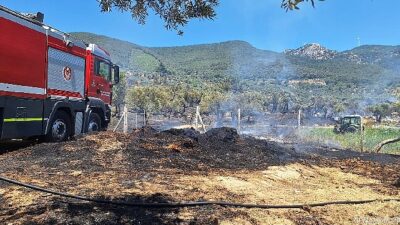 İzmir İtfaiyesi Torbalı, Kınık ve Menderes’teki yangınlara müdahale etti