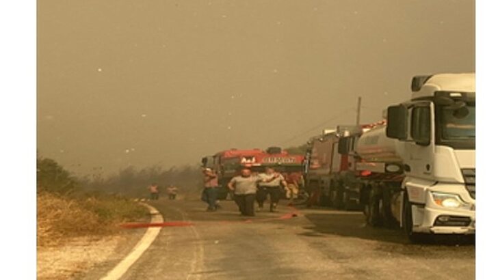 İzmir itfaiyesi tüm gücüyle alanda