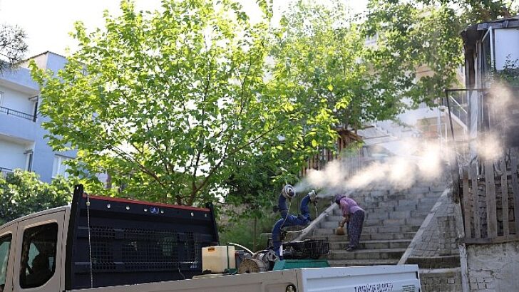 Karabağlar’da Haşerelere Karşı İlaçlama Seferberliği