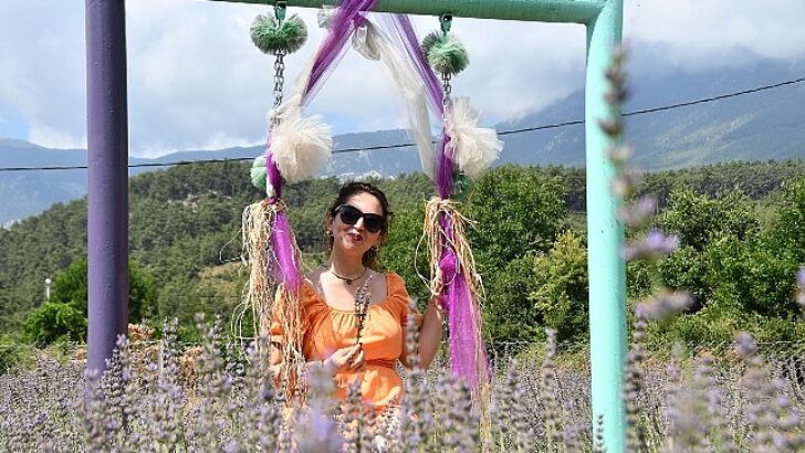 Kemer’de lavanta tanıtım aktiflikleri başlıyor