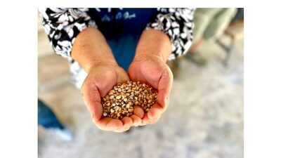 Köylünün toprağına, Urla’nın börülcesine sahip çıkıyoruz