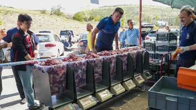 Kurban Kesim Alanlarında Hummalı Paklık Çalışması