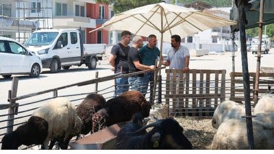 Kurban satış alanlarında kontrol