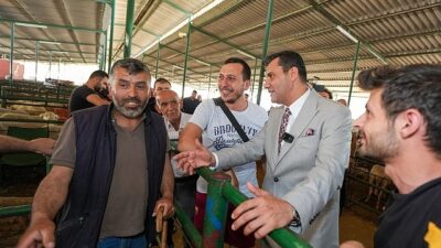 Lider Zeyrek Canlı Hayvan Borsası’nı Ziyaret Etti