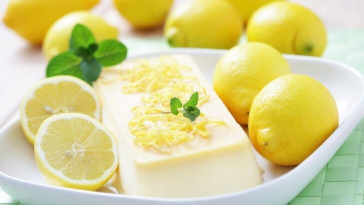 Limonlu Parfe Tarifi