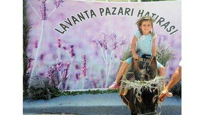 Mis Üzere Şenlik: Seferihisar’da Lavanta Büyüsü Başlıyor