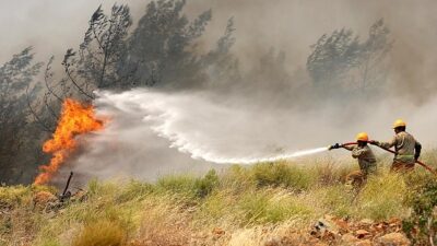 OGM’den Kurban Bayramı Öncesi Yangın Uyarısı
