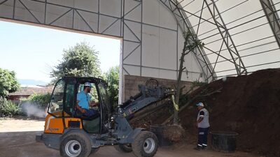 Sökülen ağaçlar geleceğe taşınıyor