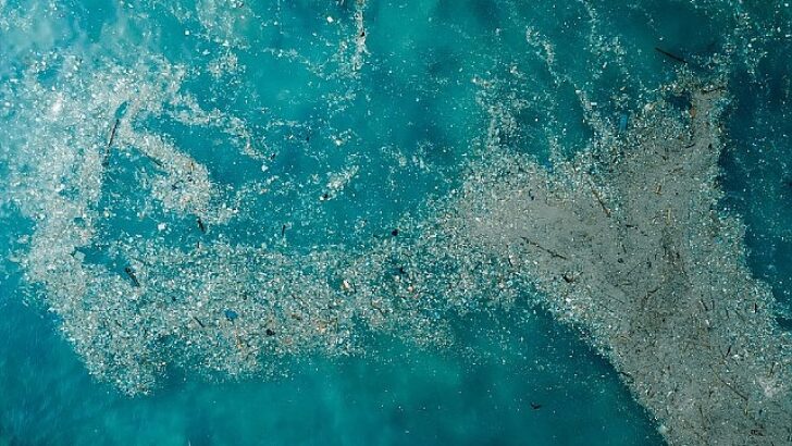 Tabiatla Uyumlu Yaşamalıyız: Plastik Kirliliğine Son Ver, Ömrü Koru!
