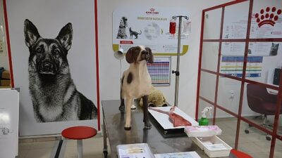 Uludağ Üniversitesi Klinik Marifet Laboratuvarı Açıldı