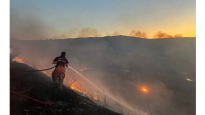 Aliağa Hacıömerli Mahallesi makilik alanda çıkan yangına müdahale sürüyor