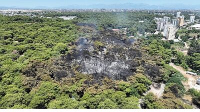 Antalya Büyükşehir Belediyesi İtfaiyesi alevlerle mücadelesini sürdürüyor