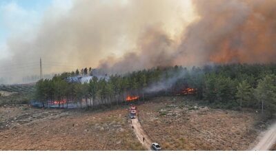 Antalya’da 4 farklı noktada orman yangını çıktı
