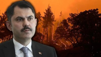 Bakan Kurum açıkladı: 4 ilde yangınlarda acı tablo