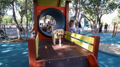 Bakırköy’ün İkinci Pati Parkı Açıldı