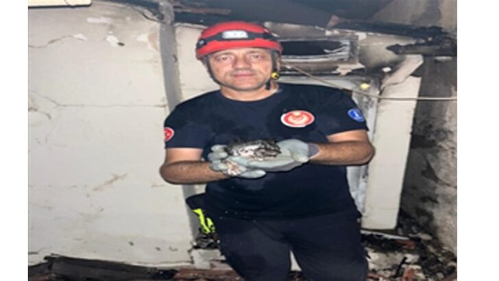 Büyükşehir yangın bölgelerindeki tüm canlıların yardımına koştu