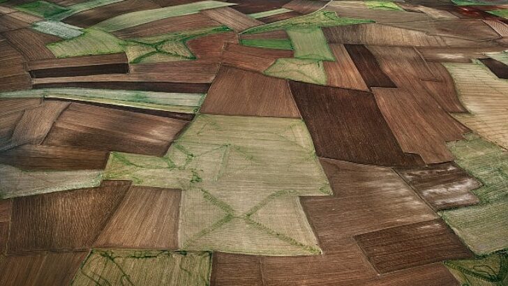 Edward Burtynsky’in lensinden yeryüzünün dönüşen yüzü, yeni dönemde Borusan Contemporary’de