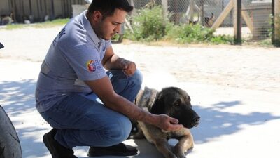 Efes Selçuk’ta “Satın Alma Sahiplen” Daveti