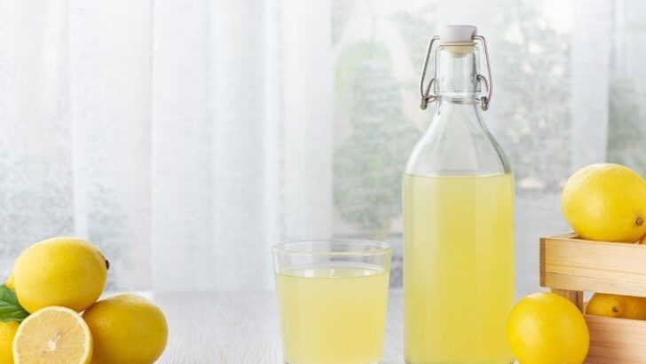 Ev Yapımı Limonata Tarifi
