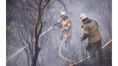 İZPA İzmir’in orman yangını risk haritasını oluşturdu