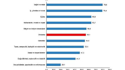 Lisans mezunlarında kayıtlı istihdam oranı 2024 yılında yüzde 75,0 olarak gerçekleşti