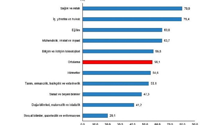 Lisans mezunlarında kayıtlı istihdam oranı 2024 yılında yüzde 75,0 olarak gerçekleşti