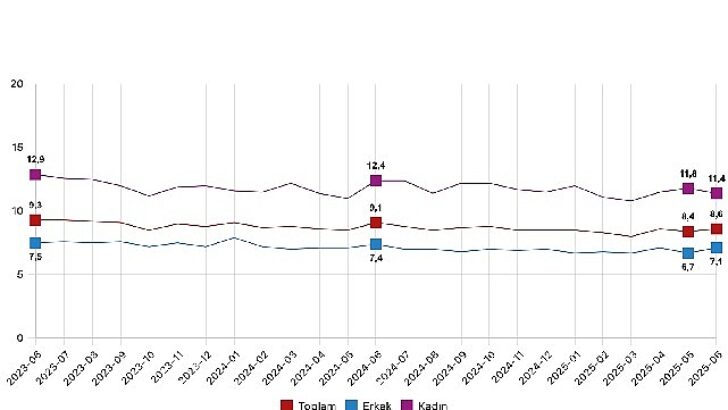 Mevsim tesirinden arındırılmış işsizlik oranı yüzde 8,6 düzeyinde gerçekleşti