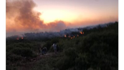 Urla’da yangın denetim altına alındı