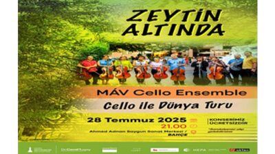 Zeytin Altında konserleri MAV Cello Ensemble ile başlıyor