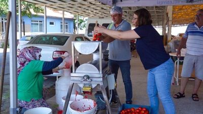 Ayvalık’ta Salça Vakti Başlıyor!